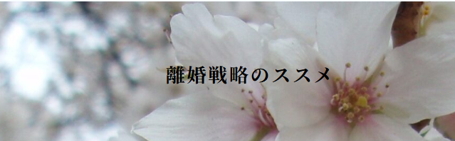 離婚戦略のススメ